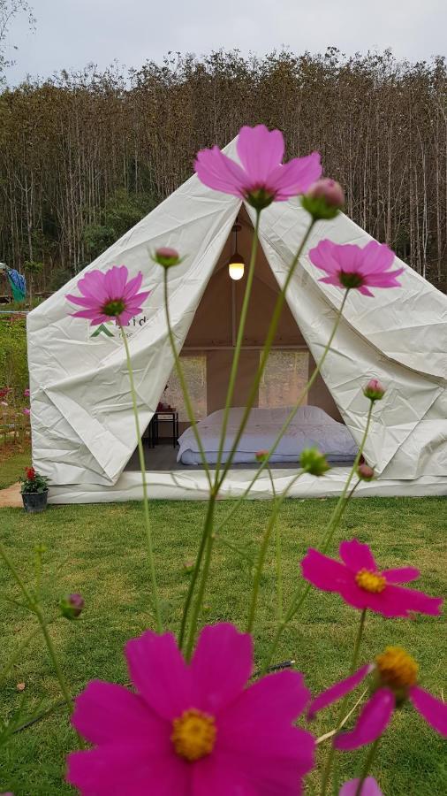 Lys I Dalen Resort&Camping Sankt Gallenkirch Exterior foto